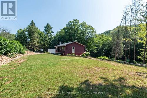 8355 County 9 Road, Clearview, ON - Outdoor