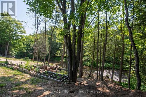 8355 County 9 Road, Clearview, ON - Outdoor With View
