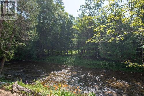 8355 County 9 Road, Clearview, ON - Outdoor