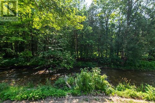 8355 County 9 Road, Clearview, ON - Outdoor