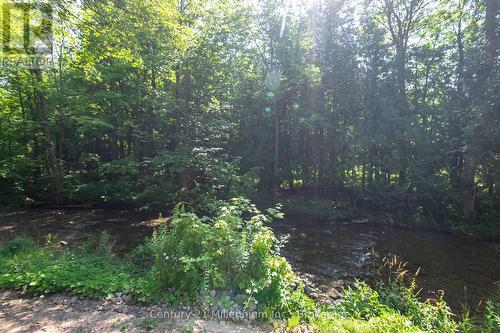 8355 County 9 Road, Clearview, ON - Outdoor