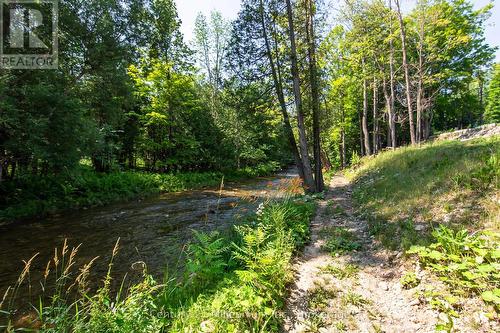 8355 County 9 Road, Clearview, ON - Outdoor