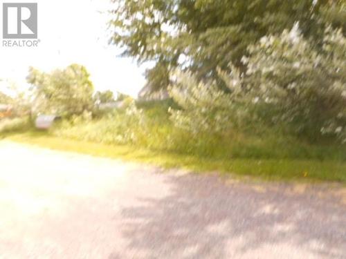 2-A Larch Street, Springdale, NL 