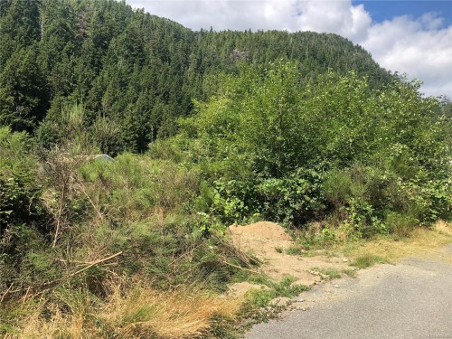 9 Freda Rd, Tahsis, BC 