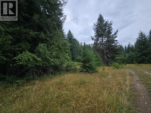 130 Lower Fauquier Road, Fauquier, BC 