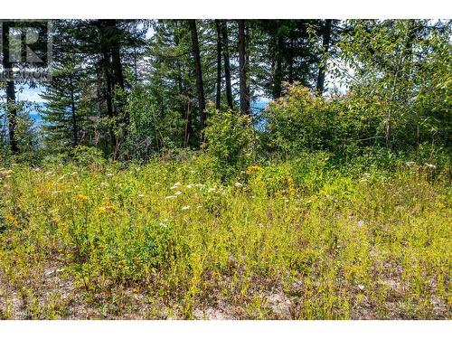 7928 Aspen Road, Vernon, BC 