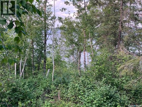 1 Birch Place, Tobin Lake, SK 