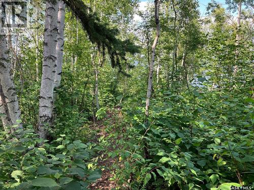 1 Birch Place, Tobin Lake, SK 