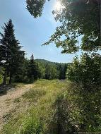 215 River RD  Elgin, NB E4Z 2H5