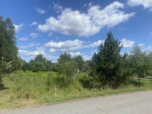 Lot 24 Old Court House Branch Road, Murray Siding, NS 