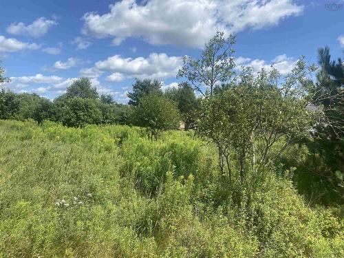 Lot 24 Old Court House Branch Road, Murray Siding, NS 