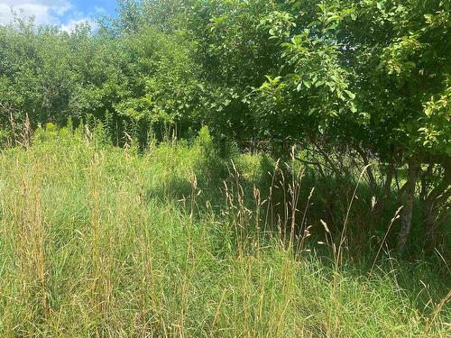 Lot 24 Old Court House Branch Road, Murray Siding, NS 