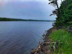 Lot 290 East Side Grand River Road  Grand River, NS B0E 1M0