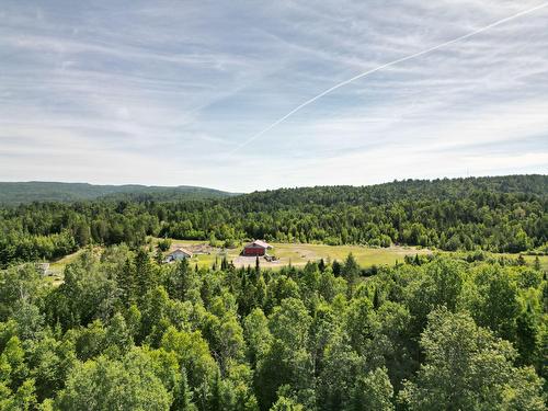 Vue d'ensemble - 121  - 125 4E Rang, Saint-Alphonse-Rodriguez, QC - Outdoor With View