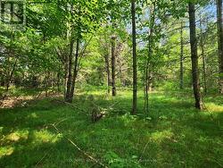 Elevated building area - 