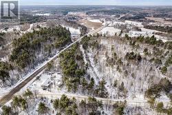 Land has mature trees - 