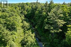 Creek attracts deer and wildlife - 