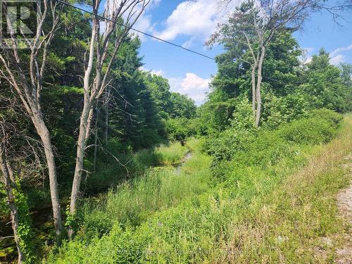 View from further down Hwy 7 to show topography - 115 Doran Road, Tay Valley, ON 