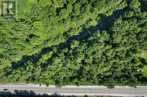 Just 10 mins to Perth on Hwy 7 - 115 Doran Road, Tay Valley, ON 