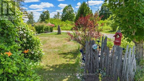 107031 Hwy 7 Highway, Madoc, ON - Outdoor With View