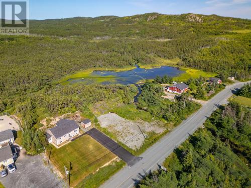 1216 Bauline Line, Bauline, NL 