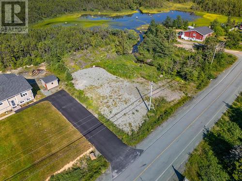 1216 Bauline Line, Bauline, NL 