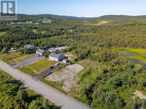 1216 Bauline Line, Bauline, NL 