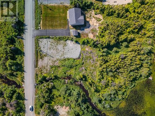 1216 Bauline Line, Bauline, NL 