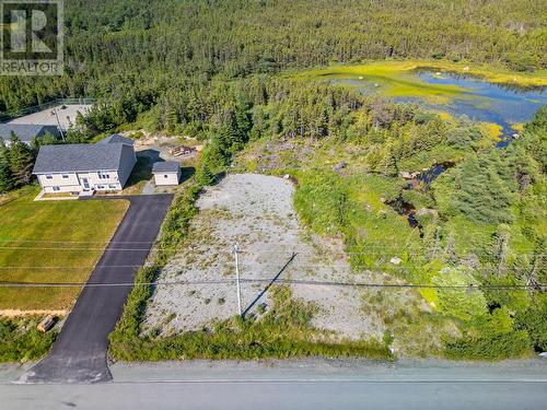 1216 Bauline Line, Bauline, NL 