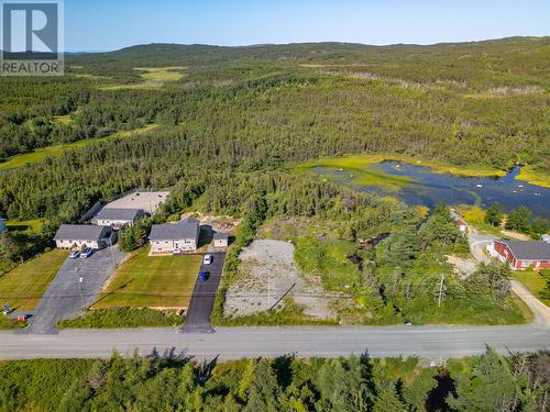 1216 Bauline Line, Bauline, NL 