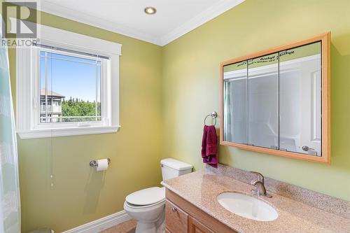 35 Alexander Crescent, Glovertown, NL - Indoor Photo Showing Bathroom
