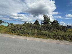16 Neck Road  Bay Roberts, NL A0A 1G0