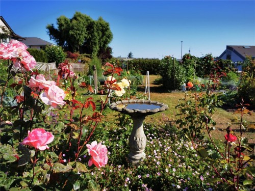 407-10016 Third St, Sidney, BC - Outdoor