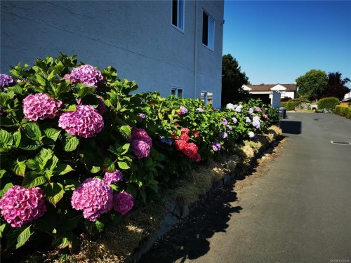 407-10016 Third St, Sidney, BC - Outdoor With Body Of Water
