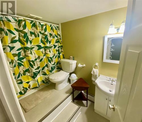 86 Main Street N, Glovertown, NL - Indoor Photo Showing Bathroom