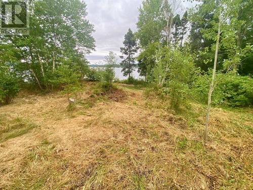 86 Main Street N, Glovertown, NL - Outdoor With View