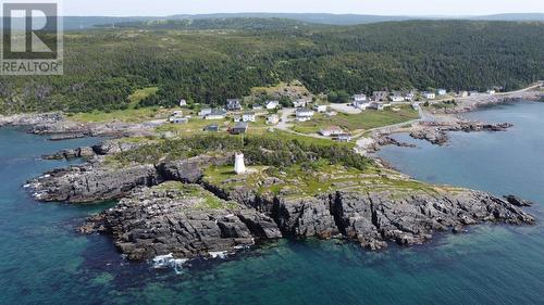 101 & 106 Custard Head, Hants Harbour, NL 