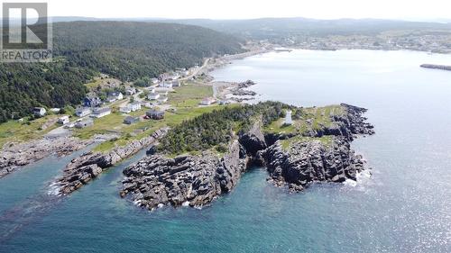 101 & 106 Custard Head, Hants Harbour, NL 
