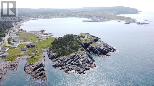 101 & 106 Custard Head, Hants Harbour, NL 