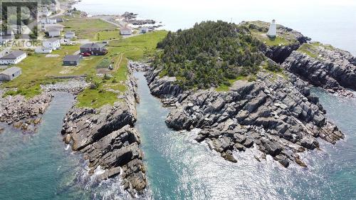 101 & 106 Custard Head, Hants Harbour, NL 