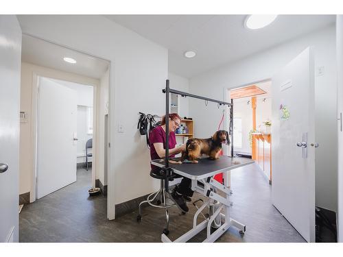 7195 Horne Street, Mission, BC 