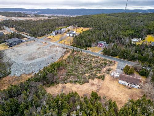 378 Old Pennywell Road, St. John'S, NL 