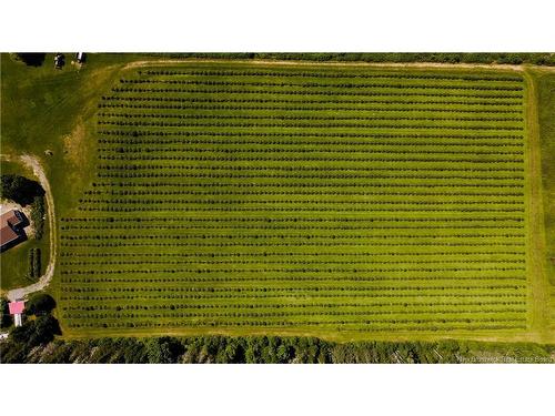 155 Rang 16 Sud Rd, Saint-Quentin, NB 