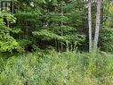 60 Summer Leigh Trail, Huntsville (Stephenson), ON 