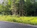 60 Summer Leigh Trail, Huntsville (Stephenson), ON 