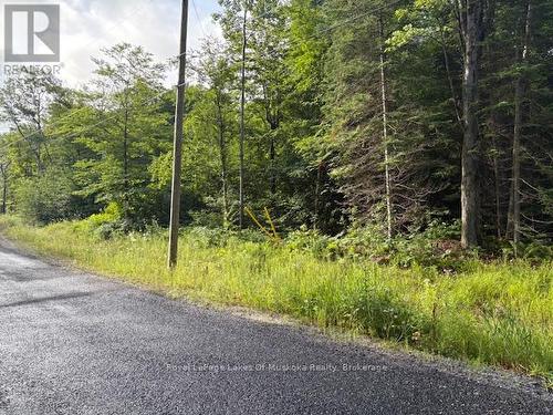 60 Summer Leigh Trail, Huntsville (Stephenson), ON 