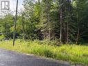 60 Summer Leigh Trail, Huntsville (Stephenson), ON 