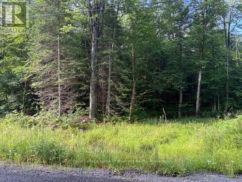 60 Summer Leigh Trail, Huntsville (Stephenson), ON 