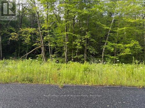 60 Summer Leigh Trail, Huntsville (Stephenson), ON 