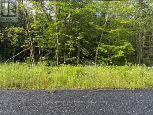 60 Summer Leigh Trail, Huntsville (Stephenson), ON 